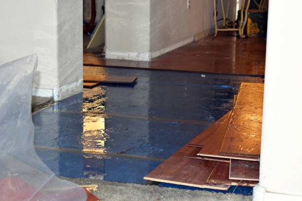 Professional Sewage Cleanup technician working in Kaleva, MI